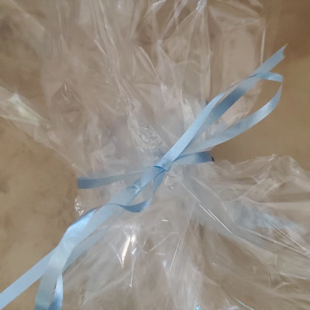 - Clear Gift/Storage Bag with Blue Ribbon nwot
